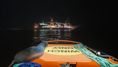 Facebook / Agenția Română de Salvare a Vieții Omenești pe Mare, Constanța (https://web.facebook.com/photo?fbid=1383799483895714&set=pcb.1383800137228982