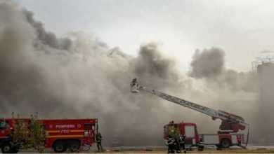 Sursă foto: ISU Mehedinți